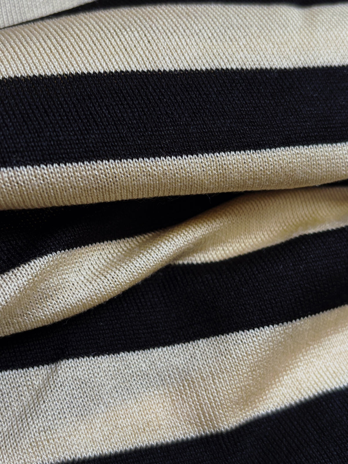 The Zebra